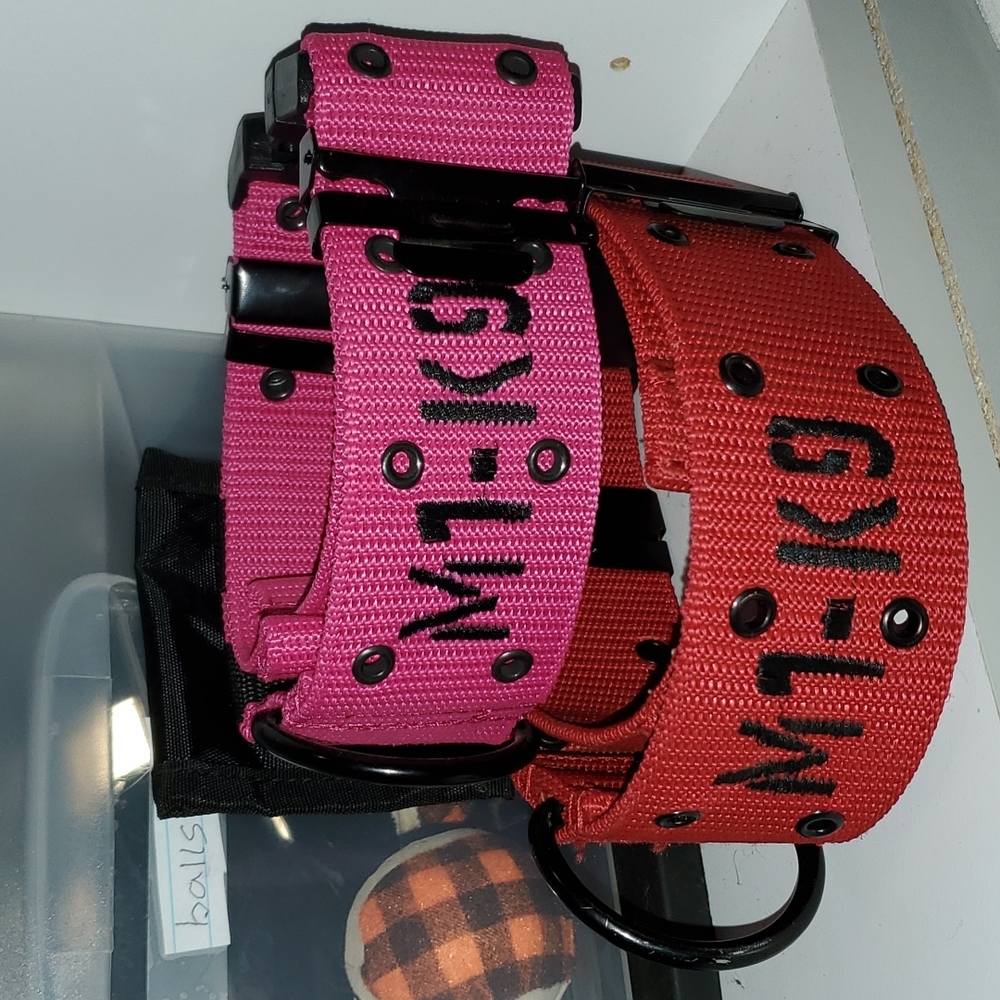 M1k9 dog collar
